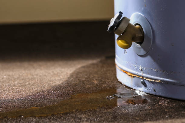 Best Water damage restoration specialists  in Issaquah, WA