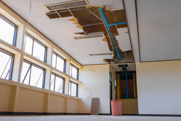 Best Water damage restoration near me  in Issaquah, WA