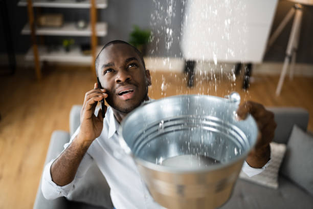 Best Water damage contractors near me  in Issaquah, WA