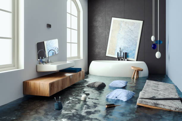Best Water damage restoration mold remediation  in Issaquah, WA