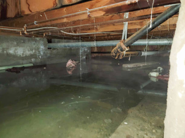 Fire Damage Restoration in WA