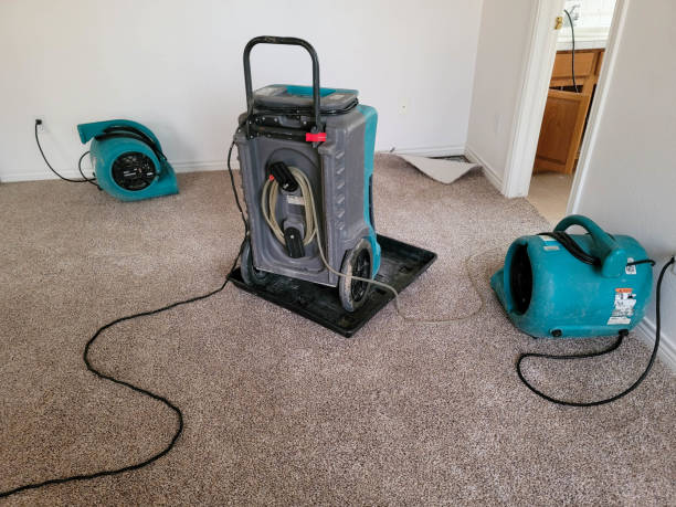 Best 24-hour water damage restoration  in Issaquah, WA
