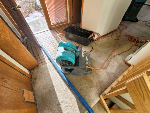 Best Commercial water damage restoration  in Issaquah, WA