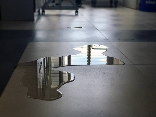 Best Emergency water damage restoration  in Issaquah, WA