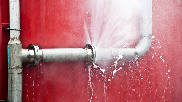Best Water damage cleanup near me  in Issaquah, WA