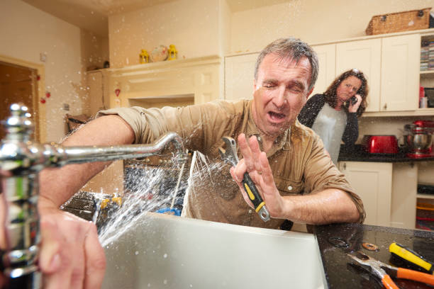 Best Flood restoration services  in Issaquah, WA